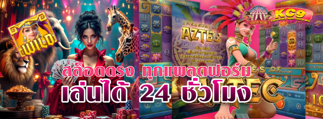 สล็อตตรง ทุกแพลตฟอร์ม